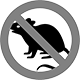 Disinfestazioni e derattizzazioni Pronto Intervento 24 ore su 24